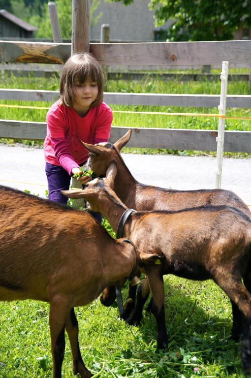 ショペルナウ Kinderbauernhofヴィラ エクステリア 写真